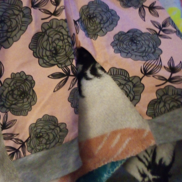 P pink pants with big flowers on and I have to mat - Picture 2 of 4
